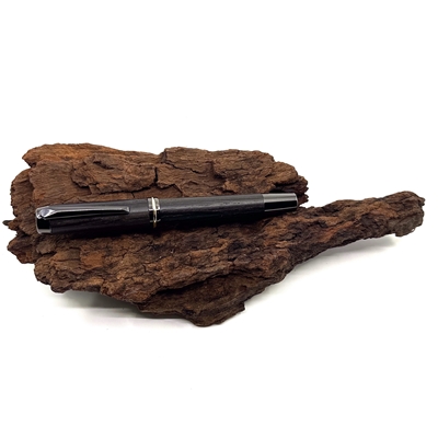 Dřevěné kuličkové pero Elegance - Bahenní dub titanium