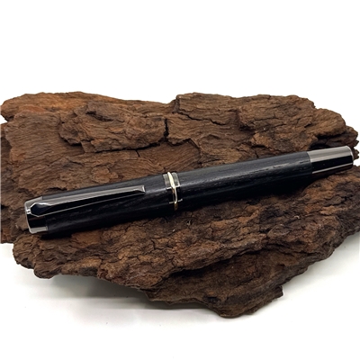 Dřevěné plnicí pero Elegance - Bahenní dub titanium